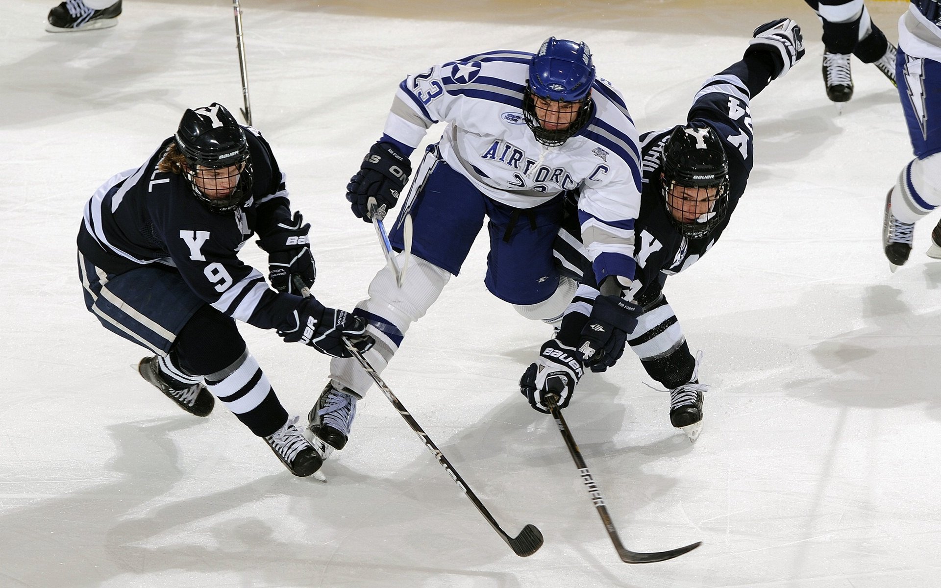 城市夜空滑翔，飞越星空的极速体验